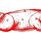 Business 3 image THE UNDERGROUND BARBECUE in Brooklyn NY