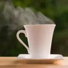 Business 1 image THE VILLA TOSCANA GUEST HOUSE in Chicago IL