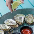 Business 10 image TIKI DOCKS RIVER BAR & GRILL in Riverview FL