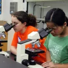 Business 3 image TIPS ON TRIPS & CAMPS Service in Baltimore MD