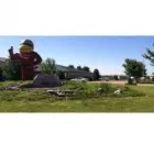 Business 1 image TIRE TRACKS USA Tires in Plano IL