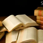 Business 2 image TM CRIMINAL JUSTICE LAWYER Attorneys in Brooklyn NY