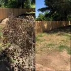 Business 2 image TNT JUNK - JUNK REMOVAL SERVICE Waste Management in Stockton CA