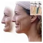 Business 10 image TODAYS DENTISTRY LEAGUE CITY Oral & Maxillofacial Surgeons in League City TX