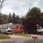 Business 1 image TOP NOTCH SERVICES Tree Service in Livonia MI