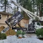 Business 1 image TOPLINE TREE SERVICE Stump Grinding in Portland OR
