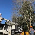 Business 4 image TOPLINE TREE SERVICE Stump Grinding in Portland OR