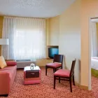 Business 12 image TOWNEPLACE SUITES BY MARRIOTT DALLAS BEDFORD in Bedford TX