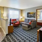Business 3 image TOWNEPLACE SUITES BY MARRIOTT DETROIT LIVONIA in Livonia MI
