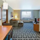 Business 13 image TOWNEPLACE SUITES BY MARRIOTT DETROIT LIVONIA in Livonia MI