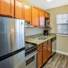 Business 15 image TOWNEPLACE SUITES BY MARRIOTT DETROIT LIVONIA in Livonia MI