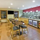 Business 20 image TOWNEPLACE SUITES BY MARRIOTT DETROIT LIVONIA in Livonia MI