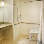 Business 21 image TOWNEPLACE SUITES BY MARRIOTT DETROIT LIVONIA in Livonia MI