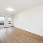 Business 3 image TRAD APARTMENTS in Shoreline WA