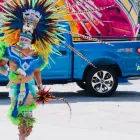 Business 4 image TRADERS VILLAGE Flea Markets in San Antonio TX