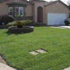 Business 1 image TREE CARE SERVICES & LANDSCAPE Tree Service in Sacramento CA