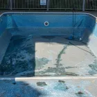 Business 1 image TREE CITY POOL RESURFACING Swimming Pool Enclosures in Miami FL
