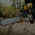 Business 3 image TREE SERVICE BRONX - CUTTING & REMOVAL COMPANY Tree Service in Bronx NY