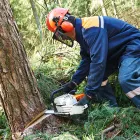 Business 1 image TREE SERVICE EXPERTS FORT WORTH in Fort Worth TX
