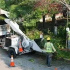 Business 2 image TREE SERVICE EXPERTS FORT WORTH in Fort Worth TX
