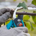 Business 4 image TREE SERVICE EXPERTS FORT WORTH in Fort Worth TX