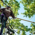 Business 3 image TREE SERVICE HOUSTON in Houston TX