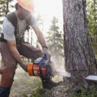 Business 4 image TREE SERVICE HOUSTON in Houston TX