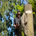 Business 1 image TREE SERVICE PORTLAND in Portland OR