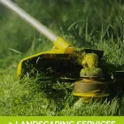 Business 2 image TREE SERVICE & REMOVAL BRONX Tree Service in Bronx NY