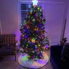 Business 1 image TREEDROP OR TREE DROP, LLC Christmas Trees in Winter Park FL