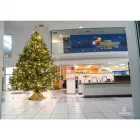 Business 3 image TREEDROP OR TREE DROP, LLC Christmas Trees in Winter Park FL