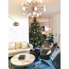 Business 5 image TREEDROP OR TREE DROP, LLC Christmas Trees in Winter Park FL