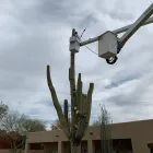 Business 2 image TREES R US LLC Tree Trimming Service in Tucson AZ