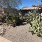 Business 6 image TREES R US LLC Tree Trimming Service in Tucson AZ