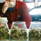 Business 2 image TRICHOMES DISPENSARY (OKC) Complementary & Alternative Medicine in Oklahoma City OK