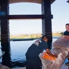 Business 3 image TRIPLE 7 MOVERS LAS VEGAS Moving Service in Las Vegas NV