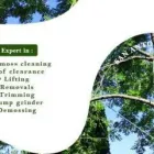Business 1 image TRIPLE J TREE SERVICES residential tree service in San Antonio TX