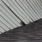 Business 1 image TRIUMPH ROOFING AND CONSTRUCTION Roofing Contractors in Plano TX