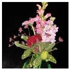 Business 3 image TRUDY'S FLORAL DESIGN Party Planning in Seattle WA