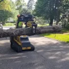 Business 1 image TRUE TREE SOLUTIONS Tree Service in Brooklyn Park MN
