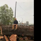 Business 1 image TRUWOOD BUILDERS LLC Woodworking Equipment & Supplies in Sacramento CA