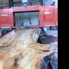 Business 24 image TRUWOOD BUILDERS LLC Woodworking Equipment & Supplies in Sacramento CA