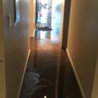 Business 2 image TUCSON MOLD REMOVAL PROS Mold Testing & Removal in Tucson AZ