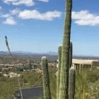 Business 3 image TUCSON MOVING SERVICE Moving And Storage in Tucson AZ