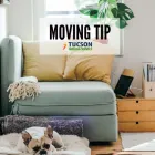 Business 11 image TUCSON MOVING SERVICE Moving Companies in Tucson AZ