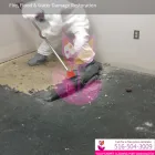 Business 11 image TULIP CARPET CLEANING PORT WASHINGTON in Port Washington NY