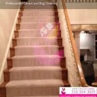 Business 15 image TULIP CARPET CLEANING PORT WASHINGTON in Port Washington NY