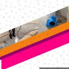 Business 17 image TULIP CARPET CLEANING PORT WASHINGTON in Port Washington NY
