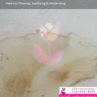 Business 18 image TULIP CARPET CLEANING PORT WASHINGTON in Port Washington NY