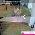 Business 1 image TULIP CARPET CLEANING PORT WASHINGTON Cetrified Mold Inspections in Port Washington NY
